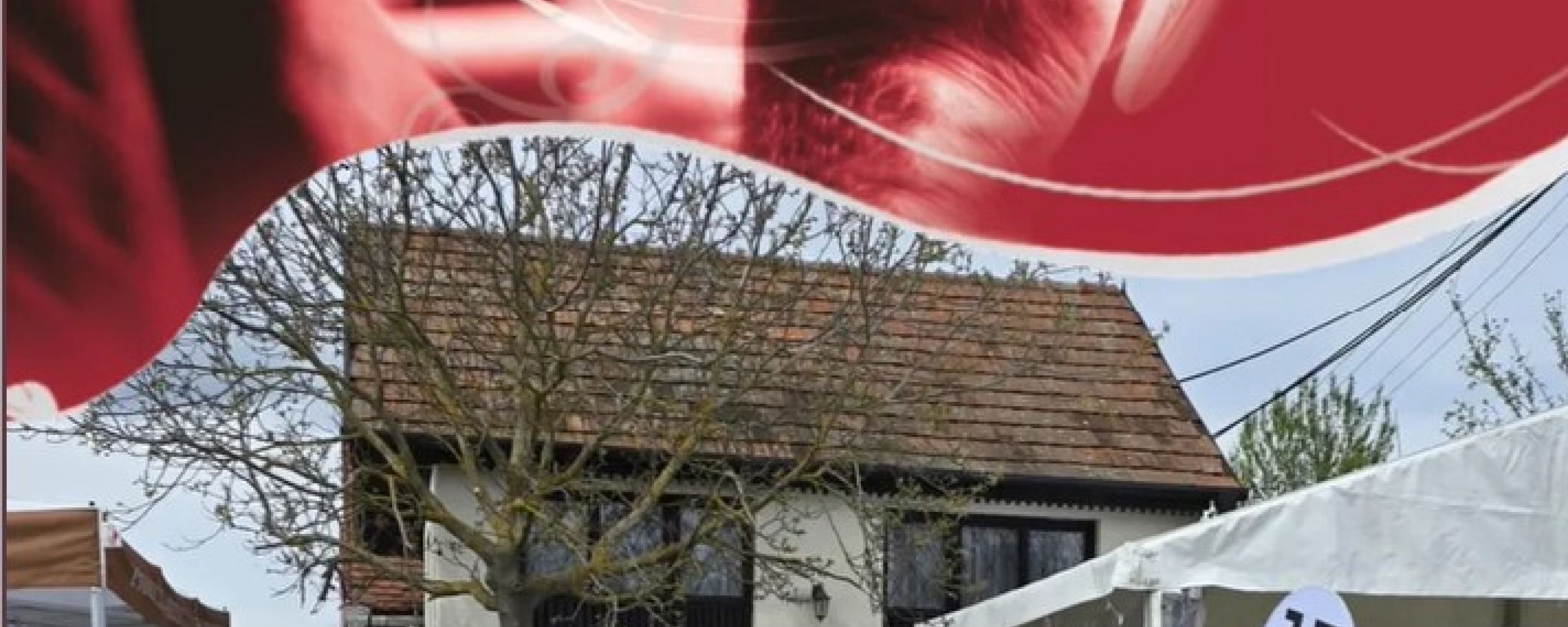 Za vinařem do Velkých Bílovic 2024 na nové adrese
